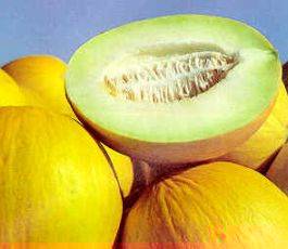 Melone Melone