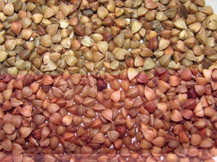 geschälter Buchweizen geschälter Buchweizen