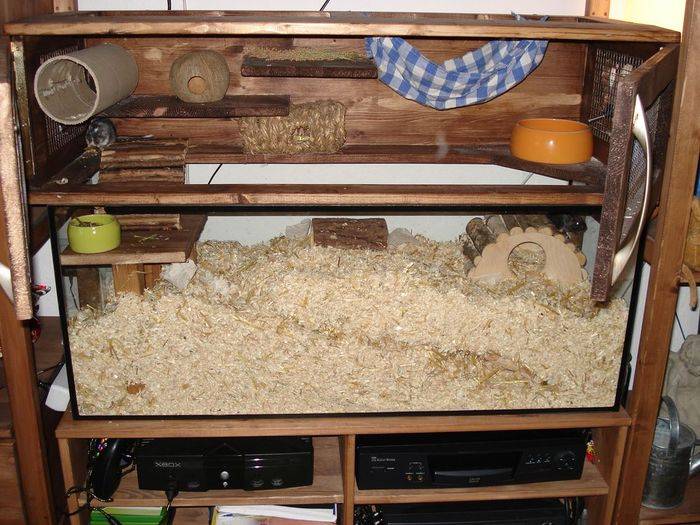 Aquarium plus Aufsatz Aquarium plus Aufsatz