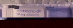 blaue Tube Stronghold