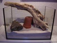 Sand in einem kleinen Zusatzaquarium