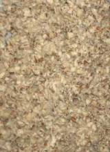 loses No-Smell loses No-Smell