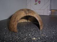 kokosnuss..jpg kokosnuss..jpg