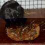 knusperbrot.jpg
