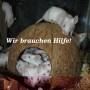 hilfe2.jpg