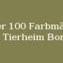 bannertierheimbonn.jpg