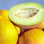 honigmelone.jpg